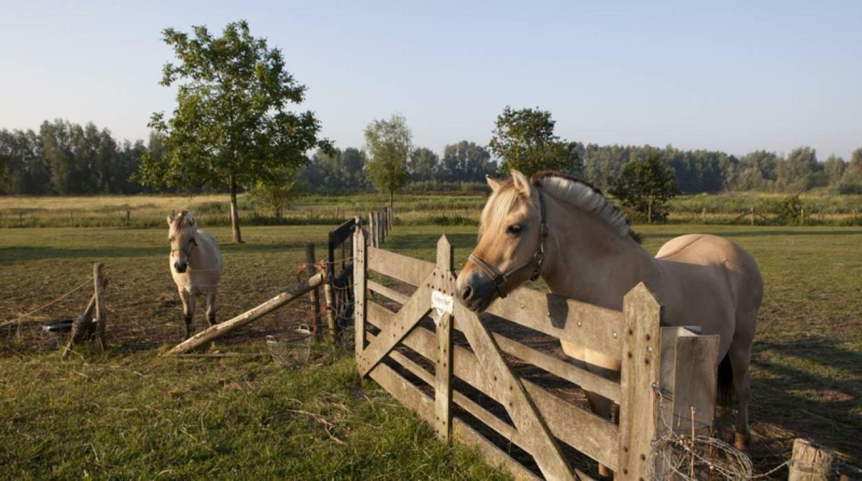 Hoeve De Pippert Hotell Ophemert Eksteriør bilde